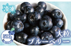 冷凍ブルーベリー 【選べる容量】約500g（1袋500g） ブルーベリー 冷凍 フルーツ 大粒 特大 美容 健康 ダイエット 冷凍食品 デザート 果物 くだもの スムージー 朝食 ジャム ヨーグルト チーズケーキ クレープ タルト お菓子 トッピング 贈答 プレゼント 10000円 国産 お取り寄せ グルメ ふるさと納税 送料無料 銚子産 千葉県 銚子市 アグリモバード