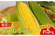 とうきび とうもろこし おおもの 約5kg 国産 銚子産 朝採れ 朝採り 先行予約 産地直送 野菜 夏野菜 新鮮 冷蔵 甘い ジューシー 生 大容量 焼きとうもろこし 天ぷら スープ コーン BBQ キャンプ お取り寄せ おやつ デザート 旬 スイートコーン toumorokosi なんばん なんば 送料無料 ふるさと納税 千葉県 銚子市 サンズファーム 【令和8年7月上旬～8月上旬頃発送予定】