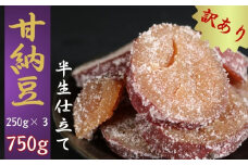 【先行予約】訳あり 甘納豆 計750g (250g×３) 紅はるか 銚子のぬれあま さつまいも 栄養 ビタミン ミネラル タンパク質 食物繊維 健康 鉄分 カルシウム 健康志向 おやつ 栄養補給 お茶 コーヒー 豆菓子専門店 黒豆 白花豆 和菓子 季節限定 10月～5月配送 贈答 小分け 個包装 おすすめ 人気 送料無料 ふるさと納税 ふるさと納税甘納豆 千葉県銚子市 森田屋商事合同会社