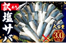 訳あり 塩さば フィレ 約3kg 期間限定 増量 中 数量限定 鯖 さば 塩サバ 塩鯖 訳アリ 訳有 規格外 不揃い 切身 切り身 フィーレ 塩焼き 鯖サンド 鯖バーガー 大容量 小分け 人気 冷凍 冷凍食品 魚 魚介 魚貝 魚介類 おかず つまみ 酒 お酒 さけ 弁当 惣菜 食品 冷凍食品 グルメ 贈答 贈物 贈り物 長期保存 ギフト ふるさと納税 ふるさと納税鯖 送料無料 千葉県 銚子市 辻野