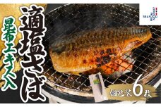 適塩さば 昆布エキス入 真空 個包装 6枚 さば 鯖 塩さば 塩鯖 適塩 適塩さば さばフィーレ 鯖フィーレ さばフィレ 鯖フィレ 切り身 切身 無添加 添加物不使用 小分け 個別冷凍 お弁当 惣菜 おかず 塩焼き 焼きさば 味噌煮 調理用 料理 冷凍 長期保存 お取り寄せ グルメ 魚 大容量 ギフト 海鮮 海の幸 水産 ふるさと納税 ふるさと納税さば 送料無料 千葉県 銚子市 エドノフーズ