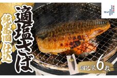 適塩さば 純米酒仕込 真空 個包装 6枚 さば 鯖 塩さば 塩鯖 適塩 適塩さば さばフィーレ 鯖フィーレ さばフィレ 鯖フィレ 切り身 切身 無添加 添加物不使用 小分け 個別冷凍 お弁当 惣菜 おかず 塩焼き 焼きさば 味噌煮 調理用 料理 冷凍 長期保存 お取り寄せ グルメ 魚 大容量 ギフト 海鮮 海の幸 水産 ふるさと納税 ふるさと納税さば 送料無料 千葉県 銚子市 エドノフーズ