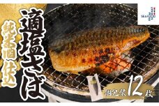 適塩さば 純米酒仕込 真空 個包装 12枚 さば 鯖 塩さば 塩鯖 適塩 適塩さば さばフィーレ 鯖フィーレ さばフィレ 鯖フィレ 切り身 切身 無添加 添加物不使用 小分け 個別冷凍 お弁当 惣菜 おかず 塩焼き 焼きさば 味噌煮 調理用 料理 冷凍 長期保存 お取り寄せ グルメ 魚 大容量 ギフト 海鮮 海の幸 水産 ふるさと納税 ふるさと納税さば 送料無料 千葉県 銚子市 エドノフーズ