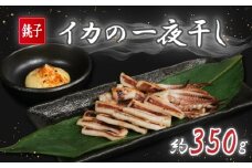 イカの一夜干し 2~4枚 (約350g) イカ 烏賊 一夜干し いか一夜干し スルメイカ ヤリイカ スルメ ヤリ 酒 酒に合う 日本酒 に合う 酒の肴 おつまみ 揚げ物 天ぷら ビール お酒 干物 肴 フライ 炒め 焼き ソテー 炙り いかめし 夕食 おかず 晩酌 肉 厚 イカ干物 イカの干物 おすすめ お取り寄せ ふるさと納税イカ ふるさと納税烏賊 冷凍 送料無料 千葉県 銚子市 ヤマワカ水産