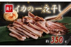 イカの一夜干し 2~4枚 (約350g) イカ 烏賊 一夜干し いか一夜干し スルメイカ ヤリイカ スルメ ヤリ 酒 酒に合う 日本酒 に合う 酒の肴 おつまみ 揚げ物 天ぷら ビール お酒 干物 肴 フライ 炒め 焼き ソテー 炙り いかめし 夕食 おかず 晩酌 肉 厚 イカ干物 イカの干物 おすすめ お取り寄せ ふるさと納税イカ ふるさと納税烏賊 冷凍 送料無料 千葉県 銚子市 ヤマワカ水産