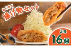 揚げ物セット 計16個 メンチカツ8個 チキンカツ4個 ミニとんかつ4個 メンチカツ メンチ とんかつ カツ チキンカツ チキン 揚げ物 フライ セット 惣菜 朝食 昼食 夕食 豚肉 鶏肉 牛肉 肉 おかず おつまみ 肉屋 小分け 個包装 おつまみ 米 に合う 便利 お手軽 時短 冷凍 冷凍食品 あげもの カツセット お肉 ふるさと納税 ふるさと納税肉 千葉県 銚子市 銚子 マルシチ畜産有限会社