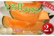 【先行予約】 赤肉とろ甘メロン 2玉（1玉約1.65～1.75kg未満） 銚子産 弥兵衛 完熟 メロン 赤肉 果物 フルーツ ギフト プレゼント 贈答 お取り寄せ 高級 デザート スイーツ ケーキ ゼリー ジュース フルーツサンド 国産 産地直送 送料無料 10000円 10000 ふるさと納税 ふるさと納税果物 千葉県 銚子市 弥兵衛 7月上旬～発送