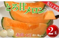 【先行予約】 赤肉とろ甘メロン 大サイズ 2玉（1玉約1.8kg以上） 銚子産 弥兵衛 完熟 熟成 メロン 赤肉 果物 フルーツ ギフト プレゼント 贈答 お取り寄せ 高級 デザート スイーツ ケーキ ゼリー ジュース フルーツサンド 国産 産地直送 送料無料 ふるさと納税 ふるさと納税果物 千葉県 銚子市 弥兵衛 7月上旬～発送