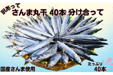 さんま サンマ 秋刀魚 40尾 訳あって さんま丸干 40本 分け合って 訳あり さんま 丸干し 10000円 冷凍 さんま サンマ 秋刀魚 無添加 国産 北海道産 さんま 国内加工 銚子 海の幸 海鮮 干物 冷凍 新鮮 贈り物 ギフト お取り寄せ 人気 グルメ ビール 日本酒 酒 おつまみ 酒の肴 敬老の日 千葉県 銚子市 ヤマニンベン 