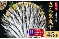 さんま サンマ 秋刀魚 45尾 数量限定 増量 中 訳あって さんま丸干 40本 分け合って 訳あり さんま 丸干し 10000円 冷凍 さんま サンマ 秋刀魚 無添加 国産 北海道産 さんま 国内加工 銚子 海の幸 海鮮 干物 冷凍 新鮮 贈り物 ギフト お取り寄せ 人気 グルメ ビール 日本酒 酒 おつまみ 酒の肴 敬老の日 千葉県 銚子市 ヤマニンベン 