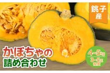 かぼちゃ 詰め合わせ 約3~5玉 4種 南瓜 瓜 農家直送 スピード出荷 健康 栄養 産直 九重栗 ブラックのジョー 坊っちゃん バターナッツ シチュー 煮物 和食 サラダ スープ ポタージュ スイーツ プリン ケーキ 調理 お弁当 レシピ 夏野菜 旬 調理  野菜 美容 ダイエット ビタミン 食物繊維 カリウム 新鮮  銚子産 送料無料 ふるさと納税野菜 ふるさと納税 千葉県 銚子市 孝農園