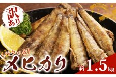 【訳あり】パクっとメヒカリ 約1.5kg めひかり 訳あり 目光 海鮮 魚 大容量 おかず 惣菜 魚介 焼魚 魚貝 フライ 南蛮漬け 唐揚げ バーベキュー レシピ おつまみ 弁当 朝食 昼食 夕食 米 にあう 酒 にあう 人気 手軽 冷凍食品 グルメ 贈答 贈物 ギフト 長期保存 小分け 便利 お取り寄せ BBQ 送料無料 冷凍 銚子港 水揚げ ふるさと納税 千葉県 銚子市 銚子 大一奈村魚問屋