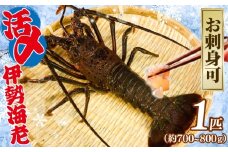 活〆 冷凍 伊勢海老 1匹（約700～800g） お刺身可 生食 刺身 氷締め 産地直送 銚子港 水揚げ 国産 厳選 新鮮 絶品 鮮度 贅沢 味噌汁 天丼 エビマヨ 鬼瓦焼き グラタン エビフライ アレンジ 調理 料理 生簀 漁師 お取り寄せ 海鮮 旬 イセエビ エビ 海老 魚介 魚介類 魚貝 魚貝類 甲殻類 海の幸 水産 ふるさと納税 送料無料 千葉県 銚子市 治吉水産 【9月以降順次発送予定】