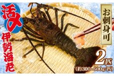 活〆 冷凍 伊勢海老 2匹（1匹 約300～600g） 計 約1kg お刺身可 生食 刺身 氷締め 産地直送 銚子港 水揚げ 国産 厳選 新鮮 絶品 鮮度 贅沢 味噌汁 天丼 エビマヨ 鬼瓦焼き グラタン 調理 料理 生簀 漁師 お取り寄せ 海鮮 旬 イセエビ エビ 海老 魚介 魚介類 魚貝 魚貝類 甲殻類 海の幸 水産 ふるさと納税 送料無料 千葉県 銚子市 治吉水産 【9月以降順次発送予定】