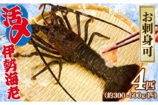活〆 冷凍 伊勢海老 4匹（1匹 約300～600g） 計 約2kg お刺身可 生食 刺身 氷締め 産地直送 銚子港 水揚げ 国産 厳選 新鮮 絶品 鮮度 贅沢 味噌汁 天丼 エビマヨ 鬼瓦焼き グラタン 調理 料理 生簀 漁師 お取り寄せ 海鮮 旬 イセエビ エビ 海老 魚介 魚介類 魚貝 魚貝類 甲殻類 海の幸 水産 ふるさと納税 送料無料 千葉県 銚子市 治吉水産 【9月以降順次発送予定】