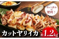 カットヤリイカ 約1.2kg いか 烏賊 ヤリイカ カット 大容量 おかず おつまみ 惣菜 魚 魚貝 魚介 焼き 揚げ ゲソ フライ パスタ バーベキュー 弁当 人気 冷凍食品 グルメ 贈答 贈物 朝食 昼食 夕食 ギフト レシピ 酒 にあう 米 にあう 長期保存 小分け 便利 手軽 お取り寄せ BBQ 冷凍 銚子 ふるさと納税 ふるさと納税イカ 銚子港 送料無料 千葉県 銚子市 大一奈村魚問屋