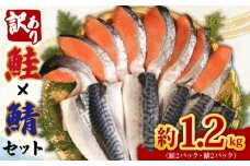 訳あり 鮭 鯖 セット 約1.2kg 銀鮭 切り身 さば フィーレ さけ しゃけ 鮭 サーモン 塩鮭 塩鯖 切り身 魚 海鮮 魚介類 魚貝 おかず おつまみ 弁当 お酒 酒 惣菜 大容量 少量 家庭用 不揃い 規格外 小分け 食品 冷凍 冷凍食品 グルメ 贈答 贈り物 プレゼント ギフト 長期保存 小分け お取り寄せ ふるさと納税 ふるさと納税鮭 ふるさと納税鯖 送料無料 千葉県 銚子市 辻野