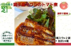 イワシ トマト煮 食べてみて！ バジル 香る 銚子産 イワシ の トマト煮 新鮮 銚子 いわし イワシ 鰯 青魚 トマト煮 パスタ トマト トマトソース バジル 湯煎 簡単 調理 アウトドア ふるさと納税 ふるさと納税魚 送料無料 10000 10000円 千葉県 銚子市 シバショウ