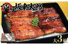 うなぎ 蒲焼 坂東太郎 大 3枚 鰻 鰻蒲焼 たれ 国産 化粧箱入り レトルト 惣菜 特別 人気 化粧箱入り タレ 山椒 スタミナ 大容量 簡単調理 真空パック お取り寄せ グルメ ギフト お土産 土用の丑の日 お中元 お歳暮 お祝い 贈答 食品 おいしい うな重 ひつまぶし ウナギ 魚 魚介 魚貝類 冷凍 送料無料 千葉県 銚子市 忠平