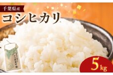 米 コシヒカリ 5kg 令和7年産 千葉県産 先行予約 国産 国産米 お米 精米 白米 新米 こめ コメ 予約 千葉県産米 ご飯 ごはん 飯 お取り寄せ グルメ ギフト 家庭用 家族 日用品 贈答 贈り物 食品 グルメ おにぎり ブランド 早場米 関東 農家 こだわり 非常食 常備食 防災 弁当 料理 朝ご飯 送料無料 ふるさと納税 千葉県 銚子市 サンズファーム 【9月中旬頃発送予定】