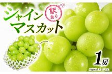 訳あり シャインマスカット 1房 450g以上 2025 年発送分 数量限定 先行予約 種なし 葡萄 ぶどう マスカット シャイン ご自宅用 産地直送 農家直送 直売 生産 有機栽培 フルーツ 果物 果実 くだもの デザート 旬 味覚 フレッシュ ジューシー 新鮮 甘い 贅沢 ご褒美 お取り寄せ グルメ ふるさと納税 送料無料 千葉県 銚子市 加瀬農園 【8月中旬から9月中旬に順次発送予定】