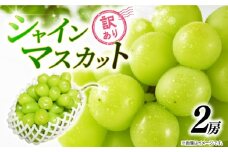 訳あり シャインマスカット 2房 約1kg 2025 年発送分 数量限定 先行予約 種なし 葡萄 ぶどう マスカット シャイン ご自宅用 産地直送 農家直送 直売 生産 有機栽培 フルーツ 果物 果実 くだもの デザート 旬 味覚 フレッシュ ジューシー 新鮮 甘い 贅沢 ご褒美 お取り寄せ グルメ ふるさと納税 送料無料 千葉県 銚子市 加瀬農園 【8月中旬から9月中旬に順次発送予定】
