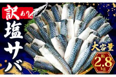 訳あり 塩さば フィレ 約2.8kg 鯖 さば 塩サバ 塩鯖 訳アリ 訳有 規格外 不揃い 切身 切り身 フィーレ 塩焼き 鯖サンド 鯖バーガー 大容量 小分け 人気 冷凍 冷凍食品 魚 魚介 魚貝 魚介類 おかず つまみ 酒 お酒 さけ 弁当 惣菜 食品 冷凍食品 グルメ 贈答 贈物 贈り物 長期保存 ギフト プレゼント ふるさと納税 ふるさと納税鯖 お取り寄せ 送料無料 千葉県 銚子市 辻野