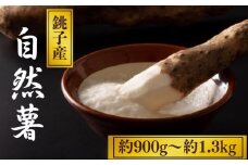 自然薯 約900g~1.3kg 山芋 とろろ じねんじょ 長芋 大和芋 いも 芋 国産 千葉県産 野菜 やさい とろろ ご飯 そば 蕎麦 うどん 天ぷら 麺 お好み焼き おつまみ おかず 惣菜 旬 新鮮 国産 料理 栄養 効能 健康効果 美容 消化に良い 山かけ 旬 お取り寄せ グルメ ギフト 高級 送料無料 ふるさと納税 ふるさと納税野菜 千葉県 銚子市 弥兵衛 【12月中旬〜1月中旬配送】	