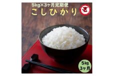 3カ月定期便 新米 令和7年産 千葉県産コシヒカリ5kg