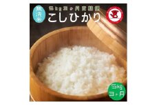 【3ヶ月定期便】 新米 令和7年産 無洗米コシヒカリ 5kg 3ヶ月【千葉県産】【お米マイスター厳選】