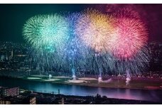 市川市民納涼花火大会 観覧ペアチケット　【12203-0043】