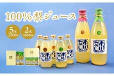 果汁１００％梨ジュース　250ml＆1000mlセット　【12203-0051】