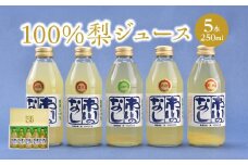 【12203-0050】果汁１００％梨ジュース　250ml×5本セット