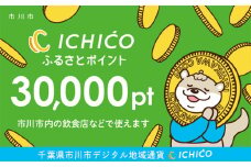デジタル地域通貨ICHICOふるさとポイント30,000pt　【12203-0219】
