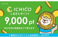 デジタル地域通貨ICHICOふるさとポイント9,000pt　【12203-0221】