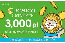 デジタル地域通貨ICHICOふるさとポイント3,000pt　【12203-0223】