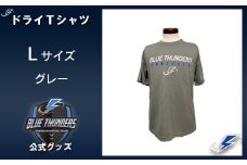 ブルーサンダース ドライTシャツ＜カラー：グレー／サイズ：L＞　【12203-0204】
