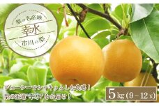 市川の梨　幸水　5kg（9～12玉）　【12203-0259】
