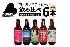 市川市初のビール工場『ありのみブルワリー』 クラフトビール 飲み比べセット　【12203-0272】