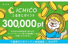 デジタル地域通貨ICHICOふるさとポイント300,000pt　【12203-0287】