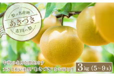 市川の梨　あきづき　3kg（5～9玉）　【12203-0218】