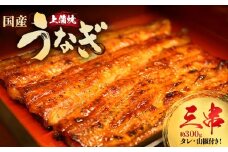 うなぎ上蒲焼3串(各100g前後)【老舗 ギフト 冷凍  うなぎ 鰻 ウナギ かばやき 串  タレ 山椒 千葉県 市川市】【12203-0300】