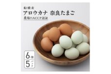 船橋産　地玉子「アロウカナ」・「奈良たまご」詰合せ　30個セット 6個×5パック 卵