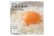 船橋産 地玉子「アロウカナ」 30個セット 6個×5パック 卵