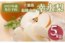 【2025年産】船橋のなし 幸水 5kg 12～16玉 梨 千葉県 船橋市産 JA厳選 高品質 先行予約