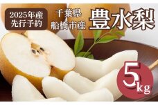 【2025年産】船橋のなし 豊水 5kg 12～16玉 梨 千葉県 船橋市産 JA厳選 高品質 先行予約
