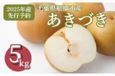 【2025年産】船橋のなし あきづき 5kg 12～16玉 梨 秋月 千葉県 船橋市産 JA厳選 高品質 先行予約