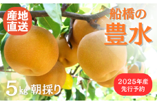 【丹精こめた美味の品】【2025年産】船橋のなし「豊水」（い志い農園） 8月下旬以降発送予定 国産 梨 ナシ 果物 フルーツ ※お届け日指定不可 