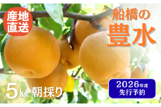【2026年産】寄付額 改定  先行予約 梨 なし 船橋のなし  「豊水」い志い農園 千葉県 2026年発送 ※お届け日指定不可  い志い農園 予約 数量限定 船橋
