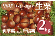 【丹精こめた美味の品】船橋の栗「利平または岸根」（い志い農園） 生栗 大粒 甘い